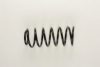 BILSTEIN 36-130696 Coil Spring